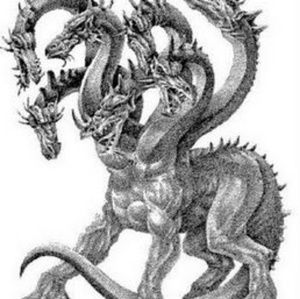 Meet your Posher, Todd